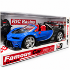 High Speed Racing Car with Remote Control