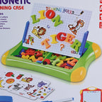 Magnetic Learning Case